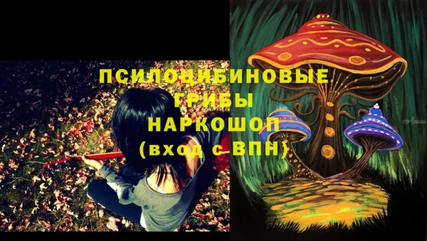 a pvp Богданович