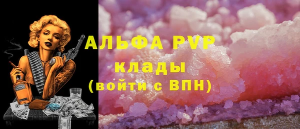 хмурый Богородск